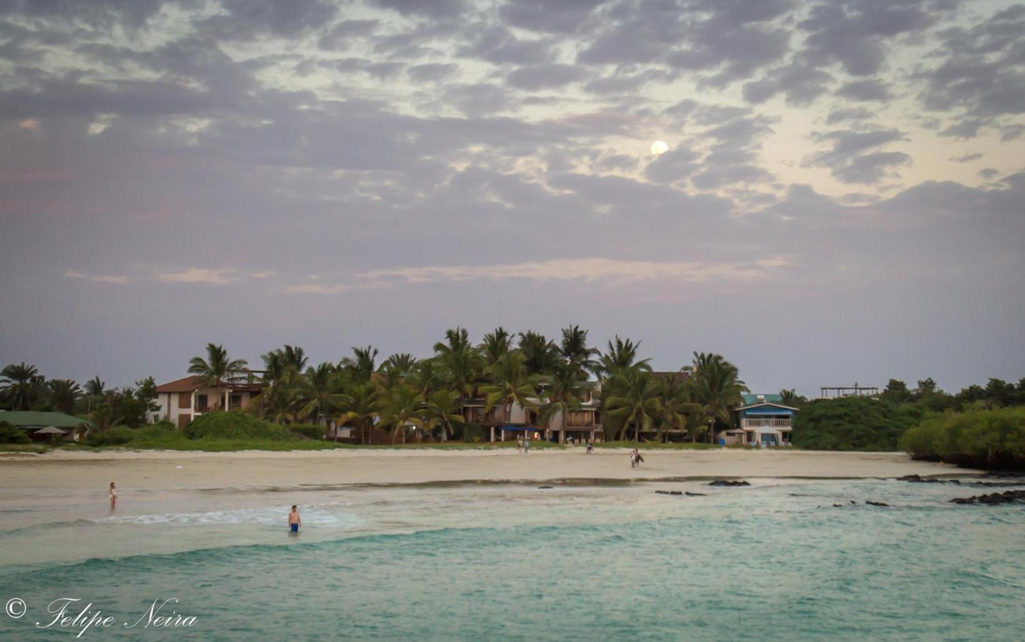 بْوُرتو فيلاميل The Isabela Beach House المظهر الخارجي الصورة