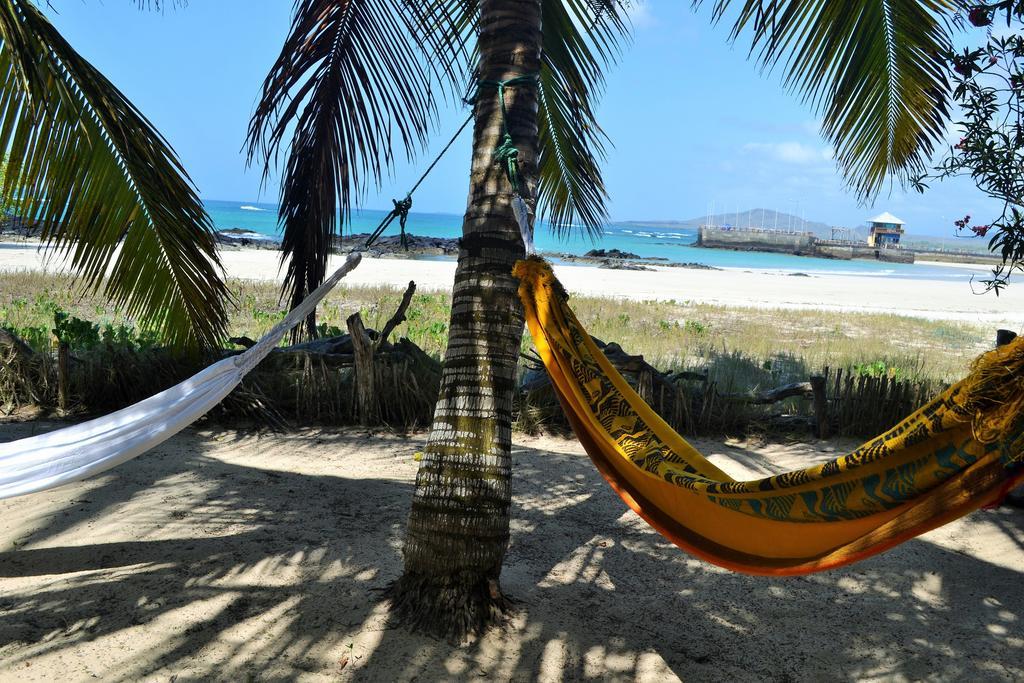 بْوُرتو فيلاميل The Isabela Beach House المظهر الخارجي الصورة