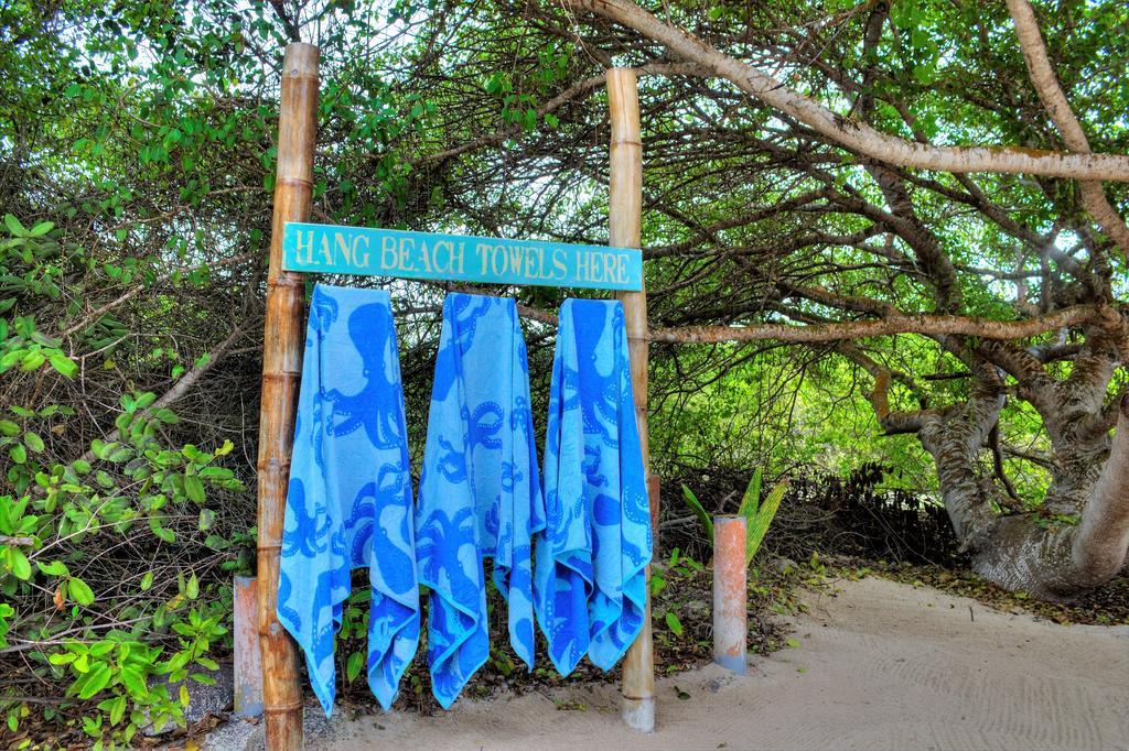 بْوُرتو فيلاميل The Isabela Beach House المظهر الخارجي الصورة