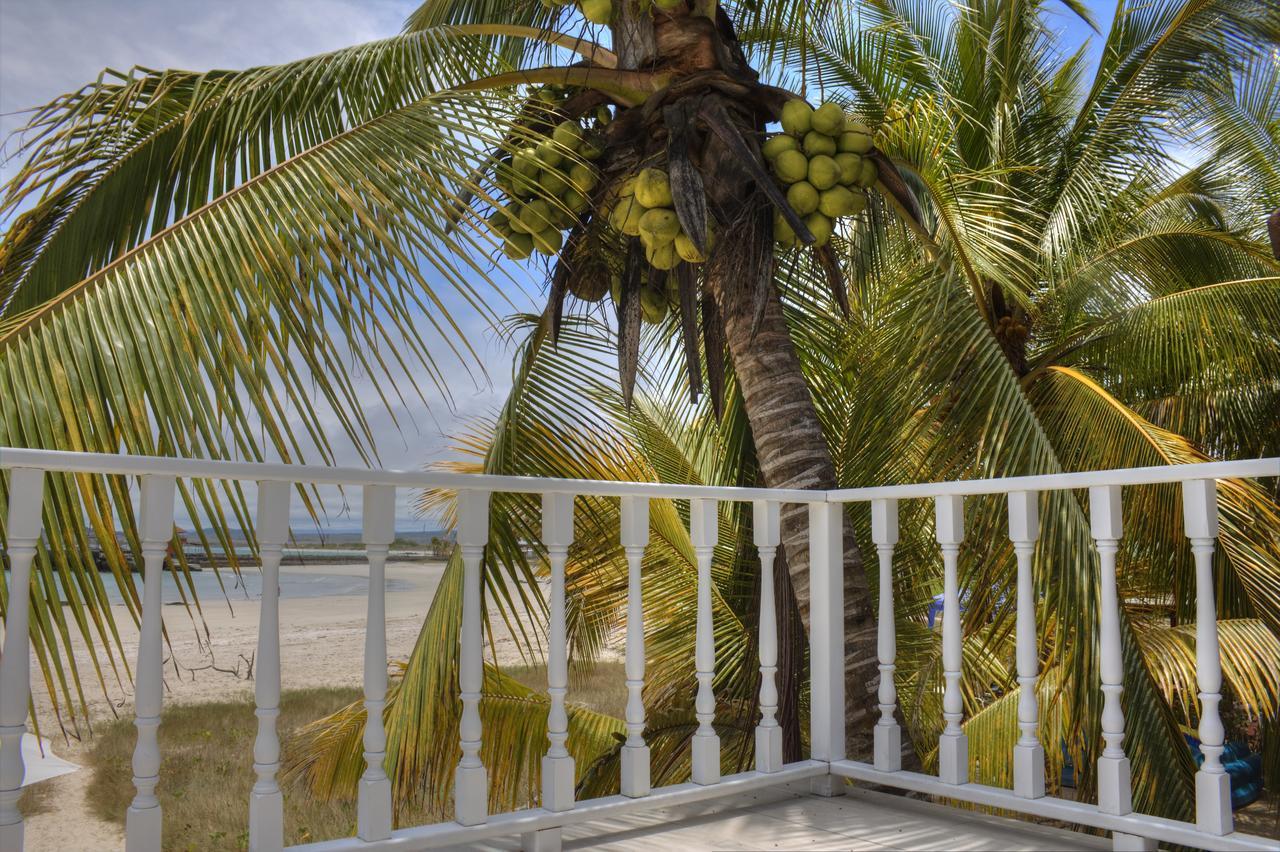 بْوُرتو فيلاميل The Isabela Beach House المظهر الخارجي الصورة
